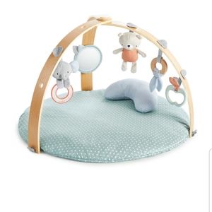 Baby activity gym matt integrity cozy spot
